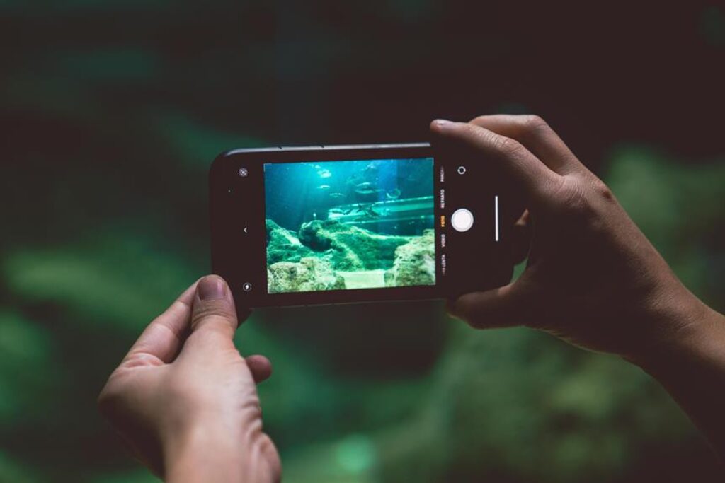 How Do Underwater Cameras Work, and Are They Worth Buying?